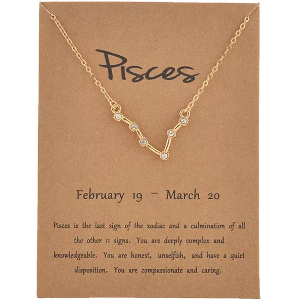 PISCES Constellation Necklace 🌌